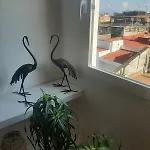 Panoramic Penthouse Toledo With Terrace *