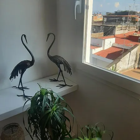 Panoramic Penthouse Toledo With Terrace *
