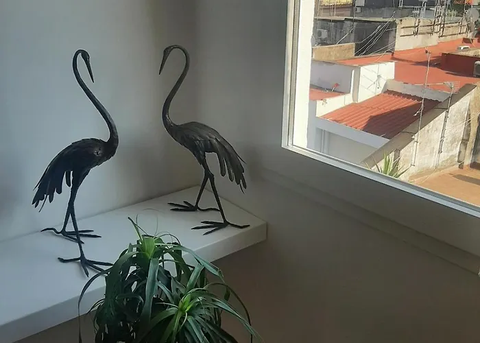 Panoramic Penthouse Toledo With Terrace *