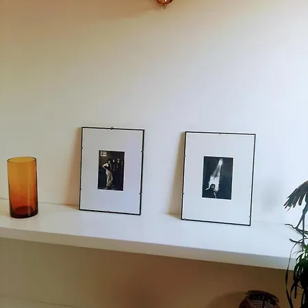 Toledo Panoramic Rooftop In 公寓 *